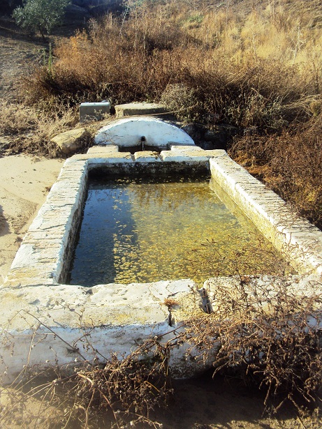 DSC07174
