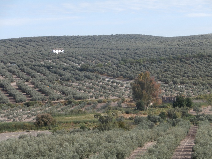 P5220874