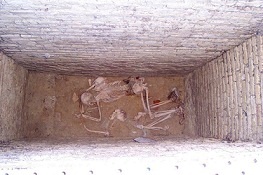image003