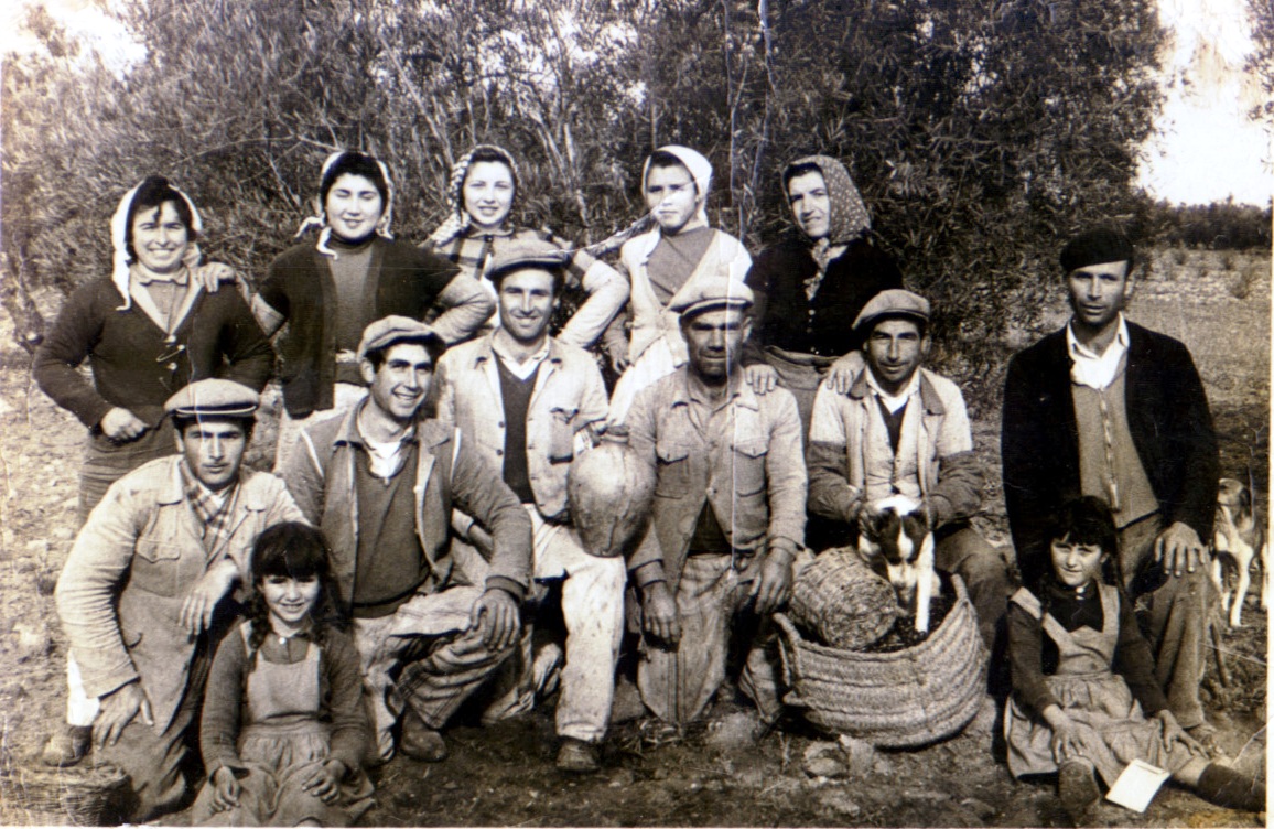 centro de adultos 018