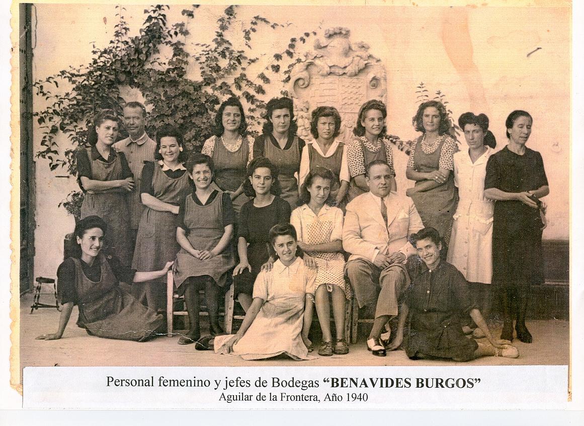 bodega