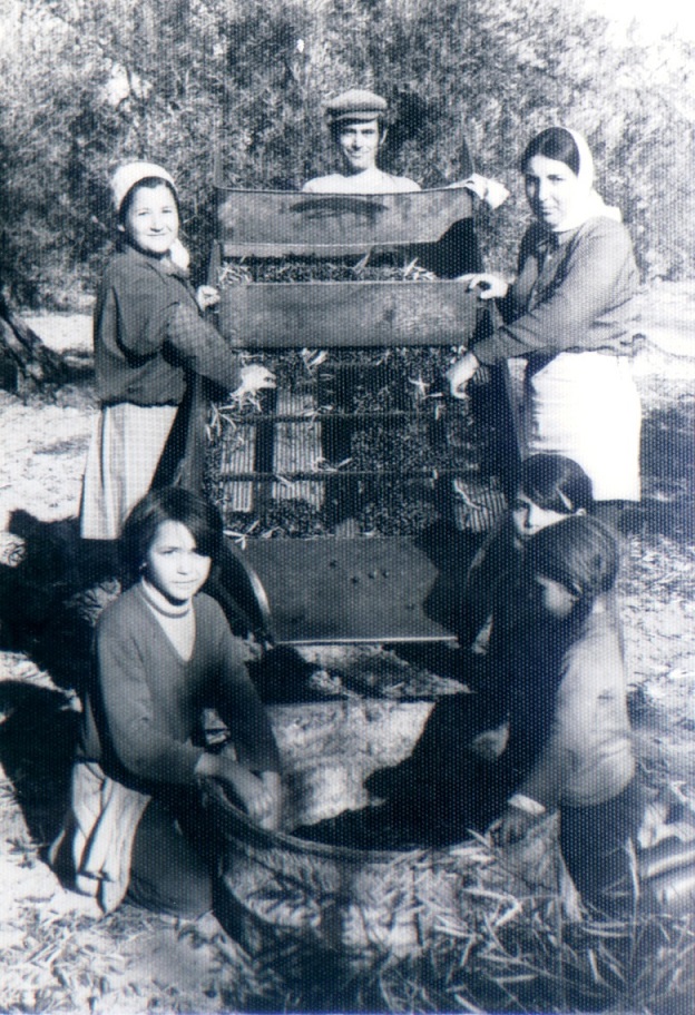 centro de adultos 016